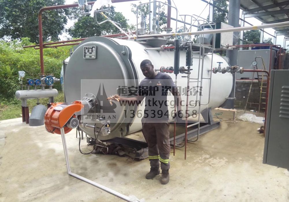 WNS燃油气蒸汽锅炉非洲安装