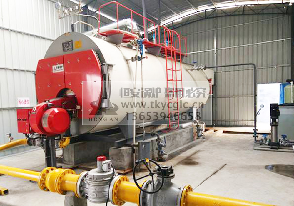 Low nitrogen gas steam boiler installation and use