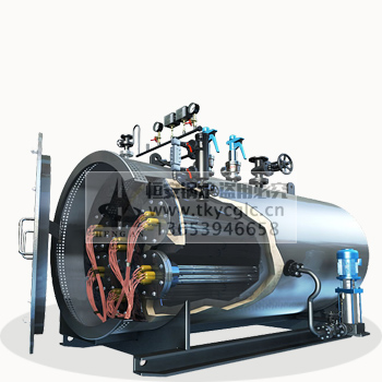 WDR horizontal automatic electric steam boiler